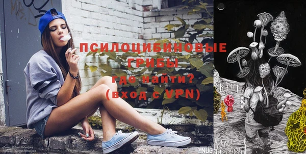 дживик Няндома