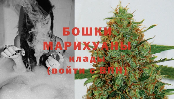 дживик Няндома