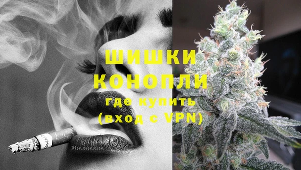 дживик Няндома