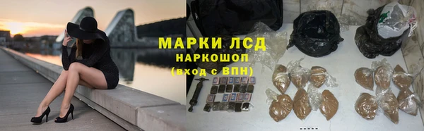 дживик Няндома