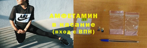 дживик Няндома