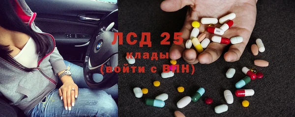 дживик Няндома