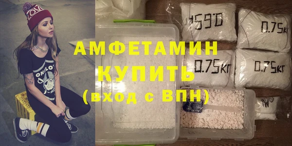 дживик Няндома