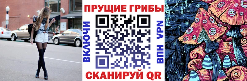 Галлюциногенные грибы мицелий  купить наркотик  shop какой сайт  Камбарка 